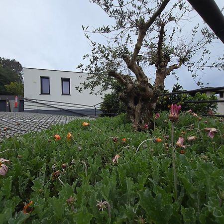דירות סנטנה Casa Do Manuel מראה חיצוני תמונה